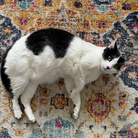 oohlookshiny